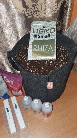 20240127_090902.jpg 20240127_090902.jpg