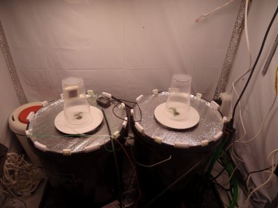 Image00001.jpg Image00001.jpg