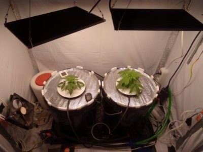 Image00004.jpg Image00004.jpg