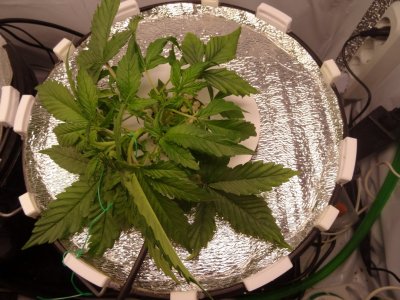 Image00012.jpg Image00012.jpg