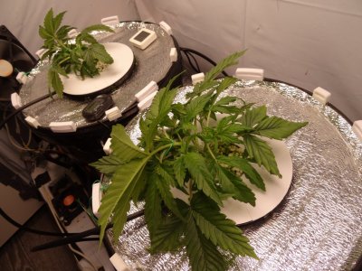 Image00013.jpg Image00013.jpg