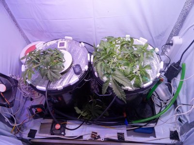 Image00019.jpg Image00019.jpg