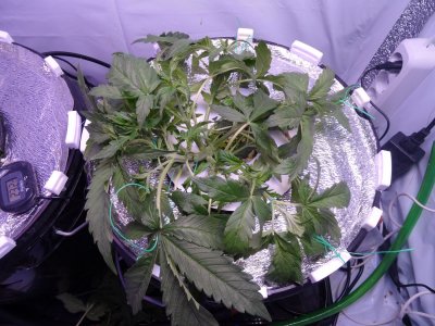 Image00018.jpg Image00018.jpg