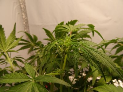 Image00031.jpg Image00031.jpg