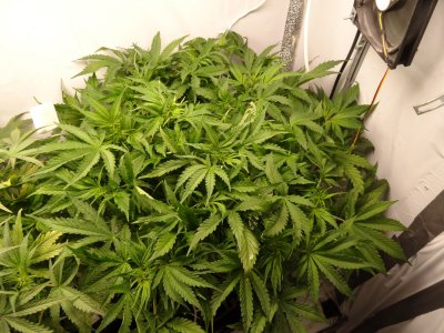 Image00048.jpg Image00048.jpg