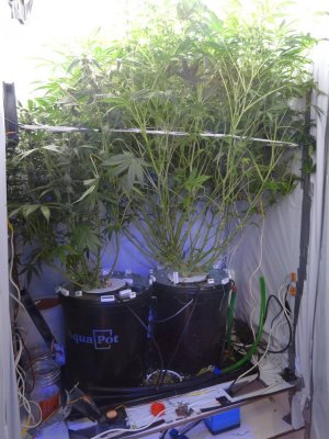 Image00076.jpg Image00076.jpg