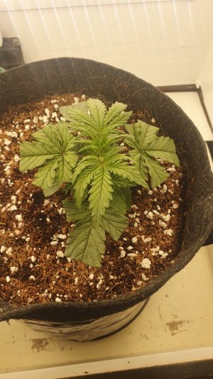 20240213_000322.jpg 20240213_000322.jpg