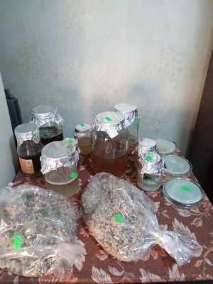 IMG_20240222_142806_1.jpg