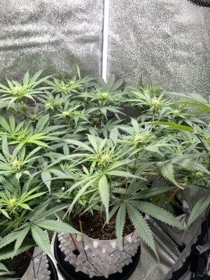 IMG_2866.jpeg
