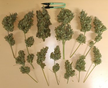 IMG_20240523_113855.jpg IMG_20240523_113855.jpg