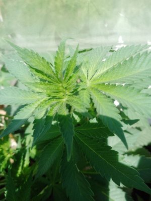 photo_3_2024-05-30_10-33-58.jpg photo_3_2024-05-30_10-33-58.jpg